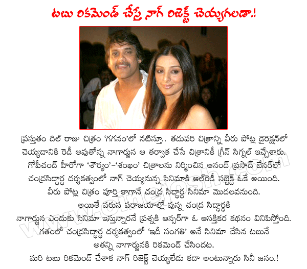 akkineni nagarjuna next film with chandra siddartha,hero nagarjuna,director chandra siddartha,producer ananda prasad,bhavya creations banner,heroine tabu,nag with chandra siddartha,nagarjuna latest films,nagarjuna movies  akkineni nagarjuna next film with chandra siddartha, hero nagarjuna, director chandra siddartha, producer ananda prasad, bhavya creations banner, heroine tabu, nag with chandra siddartha, nagarjuna latest films, nagarjuna movies